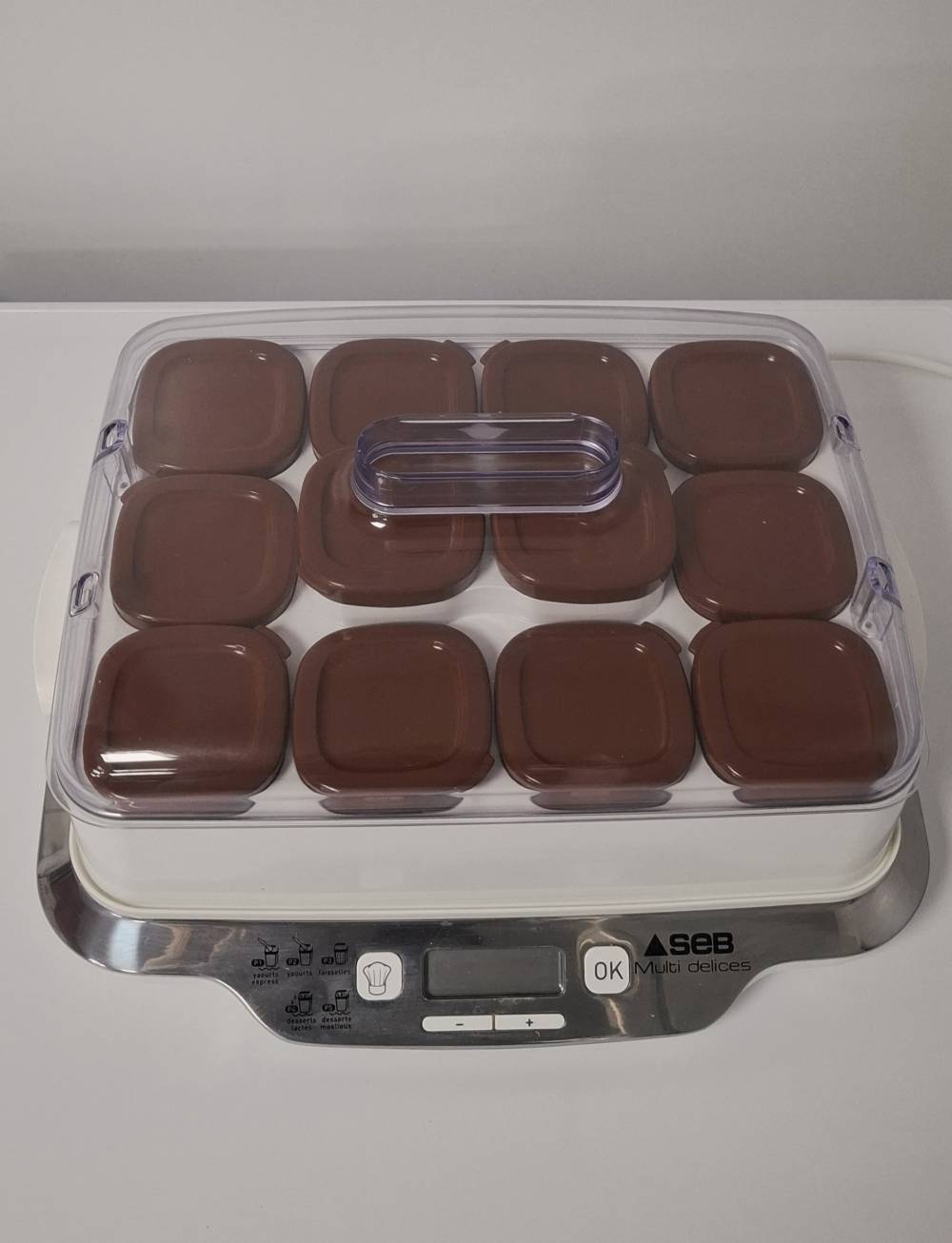 Yaourtière delice express SEB occas